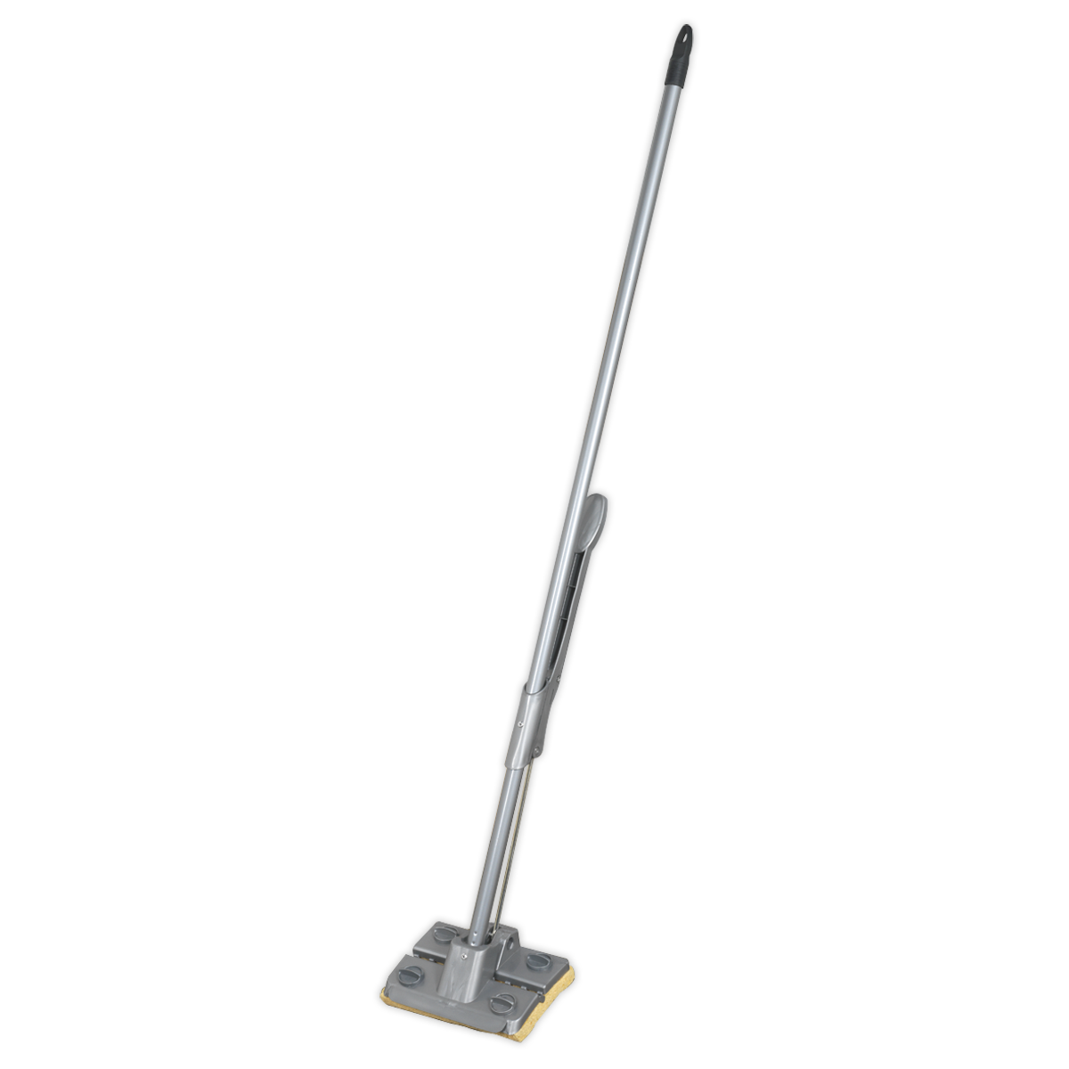 Squeeze Mop 8″(200mm)