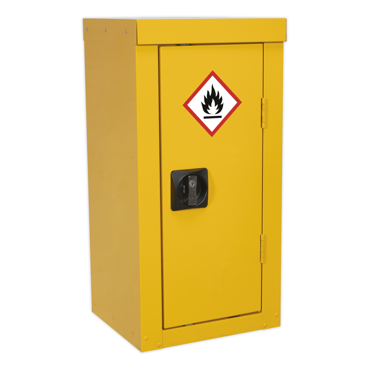 Hazardous Substance Cabinet 350 x 300 x 705mm