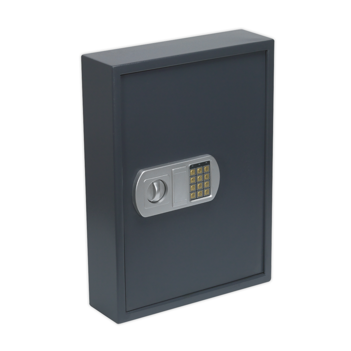 Electronic Key Cabinet 100 Key Capacity